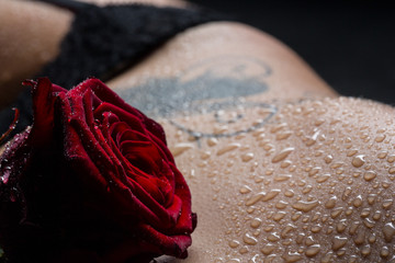 Detail einer Rosenblüte auf nackter Haut