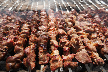 Shish kebab with the mix of spices on bbq