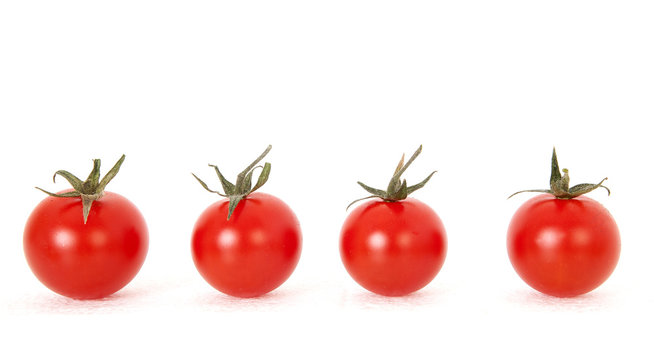 Pomodorini