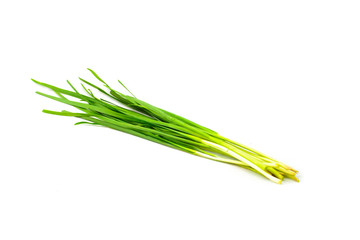  chives