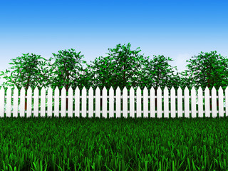 green field and trees in garden