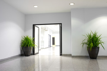 plant in office building