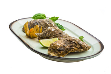 Fresh oyster
