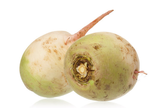 Fresh radish