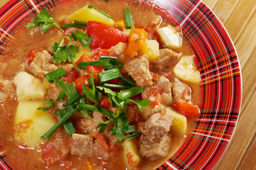 l Hungarian hot goulash soup