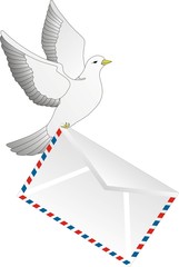 Почтовый голубь с письмом