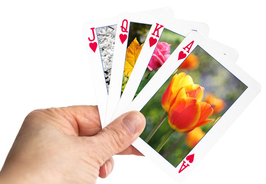 Hand Holding A Playing Card Showing Spring Flower