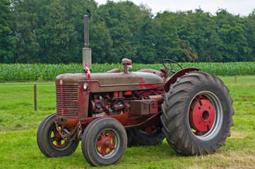 Obraz premium 8105 alter Traktor