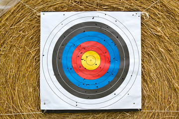 inspiration to successful with archery target.