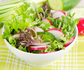 Fresh salad with lettuce and radish