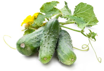 Cucumbers with leaves