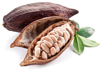 Cocoa pod