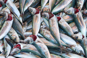 Obraz premium Fische auf dem Fischmarkt
