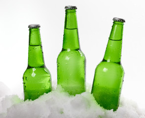 beer bottles in snow