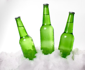 beer bottles in snow