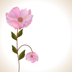 Naklejka premium Abstract beautiful floral background with flowers.