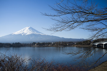 Mt Fuji view from the lake