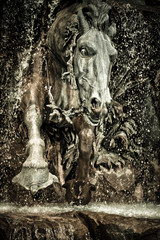 Fototapeta na wymiar Détail cheval fontaine place des Terreaux Lyon