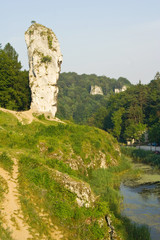 Rock called Maczuga Herkulesa in National Ojcow Park, Poland