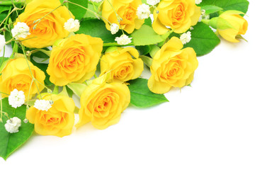 Naklejka premium yellow rose