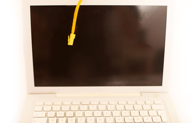 Netzwerkkabel vor Monitor
