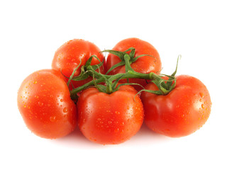 Isolated fresh red tomatoes on branch (water drop)