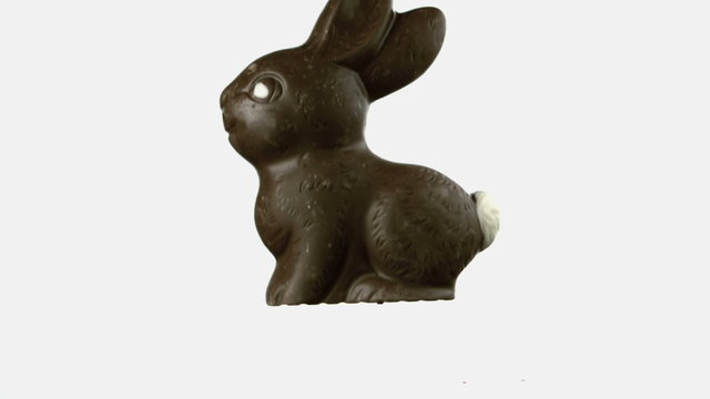 Chocolate rabbit falling and bouncing onto white surface