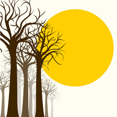 Tree silhouette, outline on white and sun