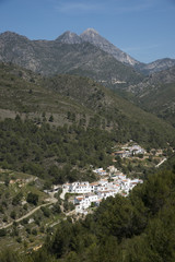 Fototapeta na wymiar Las Aldeas del Acebuchal a Andalucian white town Southern Spain