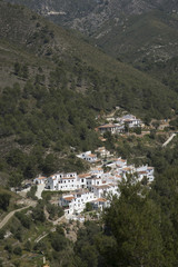 Fototapeta na wymiar Las Aldeas del Acebuchal a Andalucian white town Southern Spain