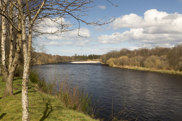 River Spey At Fochabers