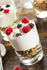 Homemade Organic Fresh Fruit Parfait