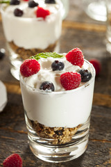 Homemade Organic Fresh Fruit Parfait