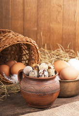 Nest with quail eggs on a canvas on a white background