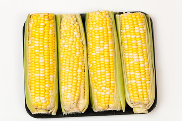 Yellow sweet corn on tray
