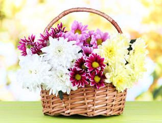 Bouquet of beautiful chrysanthemums in wicker basket