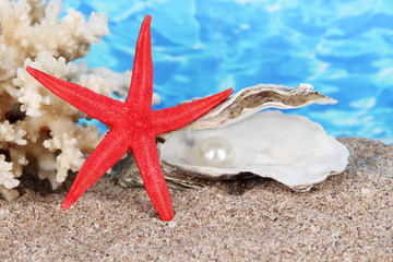 Open oyster with pearl on sand on water background