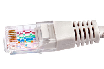 Network connection plug RJ-45. Macro.