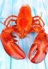 Red lobster on wooden table close-up