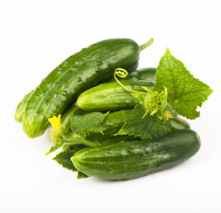 Cucumbers on a white background