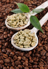 Green and brown coffee beans with leaves