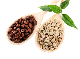 Green  and brown coffee beans in wooden spoons and leaves
