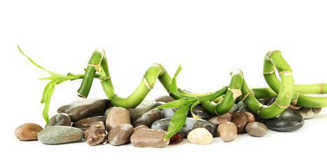 Still life with green bamboo plant and stones, isolated on