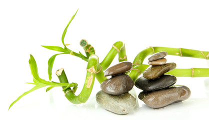 Still life with green bamboo plant and stones, isolated on