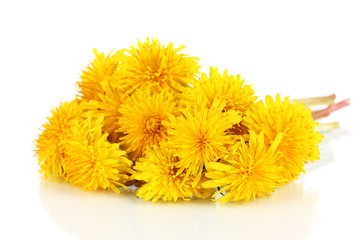 Dandelion flowers isolated on white