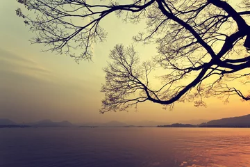 Foto op Canvas West Lake in Hangzhou, in the evening © 孤飞的鹤