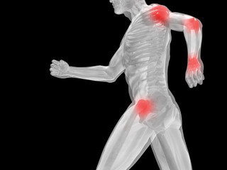 High resolution 3D human for anatomy,medicine and health
