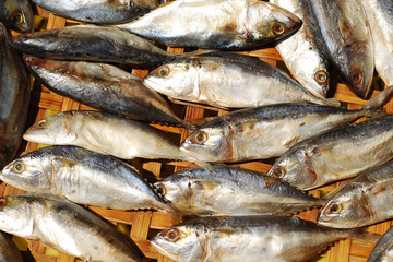 Dried fish