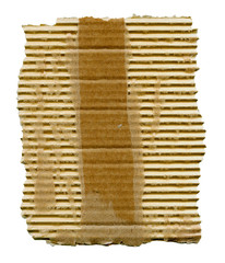 Torn cardboard isolated