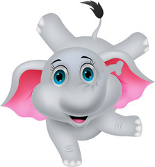 Cute elephant circus